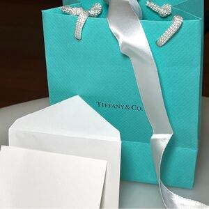 TIFFANY & CO gift bag with ribbon and embossed gift card